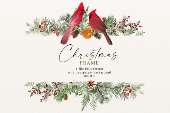 Christmas Holidays Frame Cardinal Bird Illustrations Review