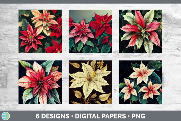 Festive Illustrations: Christmas Poinsettia Backgrounds Digit Review