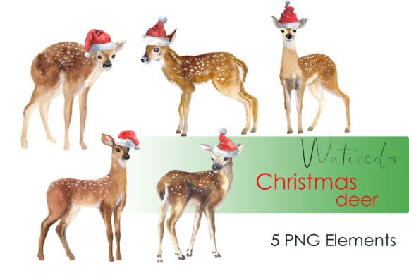 Watercolor Christmas Clipart: Holiday Illustrations Review